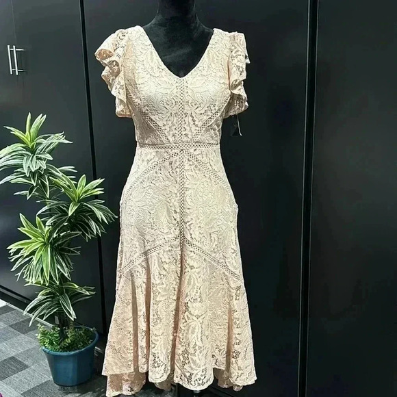Just Taylor V-neck flutter sleeve lace,Hi/low ruffle,zip back, lined,zipper back - Picture 1 of 16
